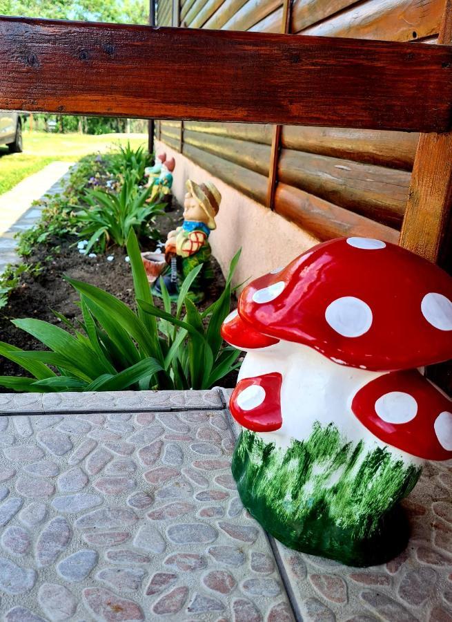 Hotel Pensiunea Sanziana Oradea Zewnętrze zdjęcie